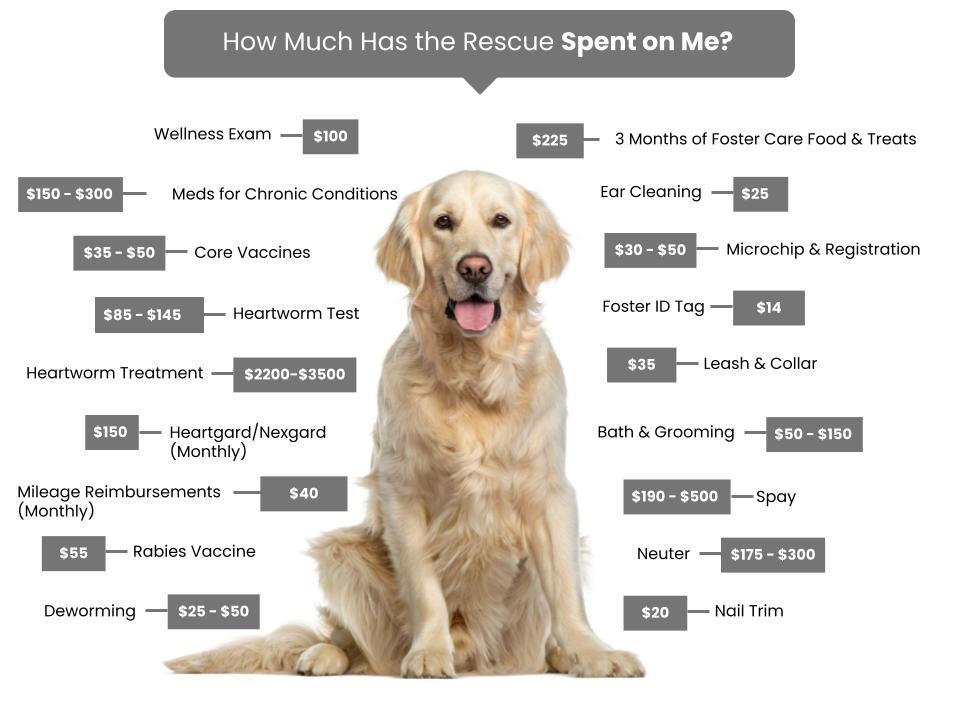 Full Circle Fee Graphic