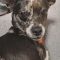 Truffles